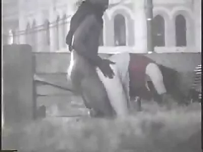 ڈوگی انداز میں بلی میں بڑا لنڈ
