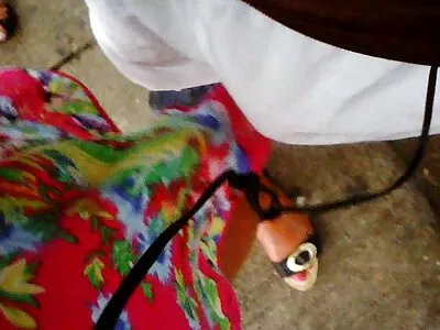 شوقین بیوی چوستے اور بھاڑ میں جاؤ