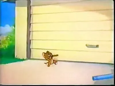 بلی چاٹنا اور لڑکی لنڈ پر کودنا